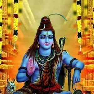 Meet your Posher, Paramvir